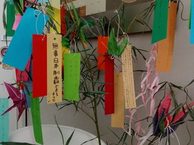 2017.07.11 - Tanabata tree, new dish at friend pan